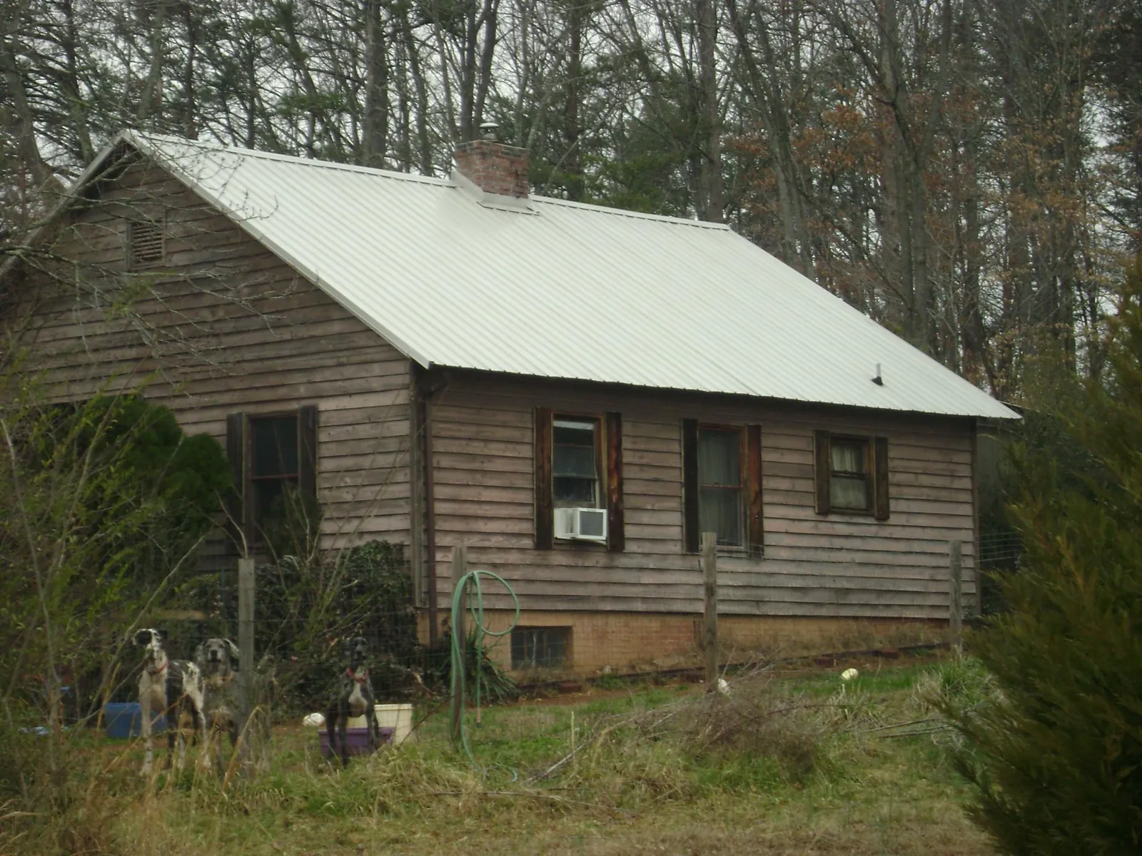 White metal roof on an old wood sided farmhouse, from a Asphalt Shingle Roof Repair job in Collinsville